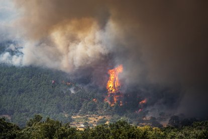 Un helicóptero trata de apagar el fuego, cerca de El Castañar de El Tiemblo, a 24 de julio de 2026, en El Tiemblo, Ávila, Castilla y León (España). 