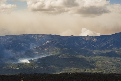 Columnas de humo del fuego forestal en Navaluenga.-ARCHIVO.