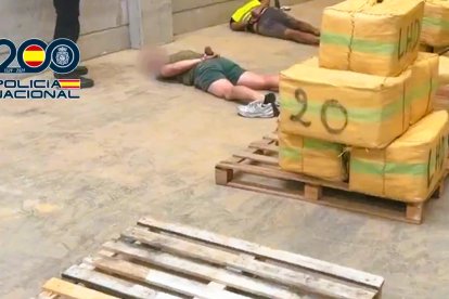 En la operación policial se ha detenido a 57 personas y se realizaron 20 registros en diferentes provincias.