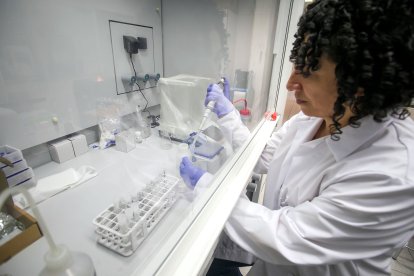 Cristina Valdioseras, responsable del grupo Admextur de adn, en un laboratorio de la UBU.