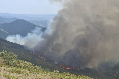 Imagen del incendio en Arza.