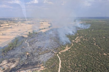El incendio ha asolado 83 hectáreas de monte