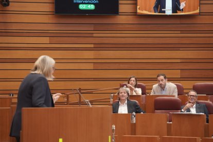 Segunda jornada del pleno de las Cortes de Castilla y León.