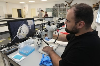 El  investigador predoctoral del área de Zoología, Ángel Chaves, en la imagen; y  los profesores de Zoología, Mercedes Fernández y Jordán Muñoz de la Escuela de Ingenierías Agrarias de Palencia (ETSIIAA) de la Universidad de Valladolid han estudiado comunidades de nematodos del suelo en una mina clausurada en el norte de Palencia para evaluar el grado de recuperación del ecosistema.