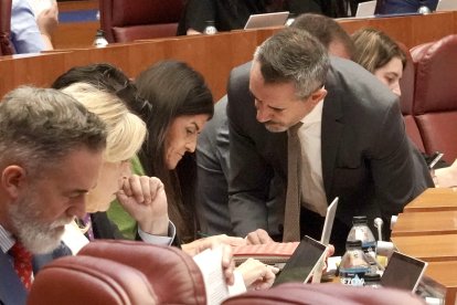 La procuradora de Vox María Dolores Mateo junto al portavoz parlamentario David Hierro en el Pleno de las Cortes.