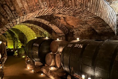 La iniciativa pone en valor el patrimonio singular de Aranda