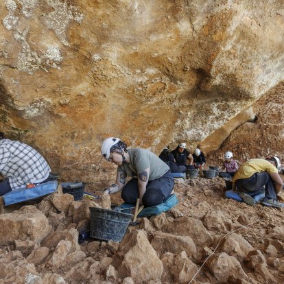 Un grupo de unos 12 excavadores trabajando este año en la superficie de Galería.