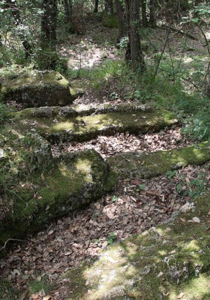 Zona boscosa en los Montes Obarenes. G. GONZÁLEZ