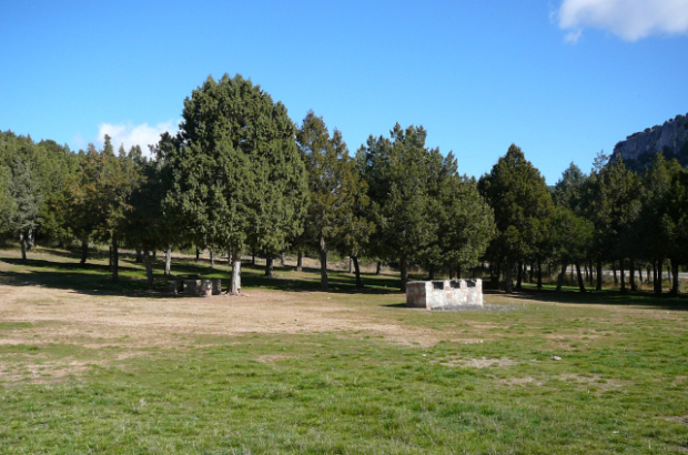 Parque del Sabinares del Arlanza-La Yecla.
