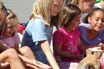 Los niños pudieron dar de comer a los lobos.