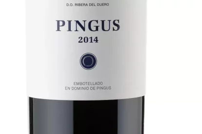Pingus 2014