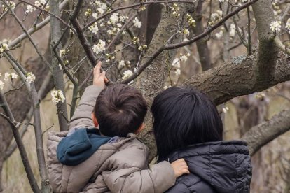 Los cerezos en flor tiñen de blanco el Valle de las Caderechas.