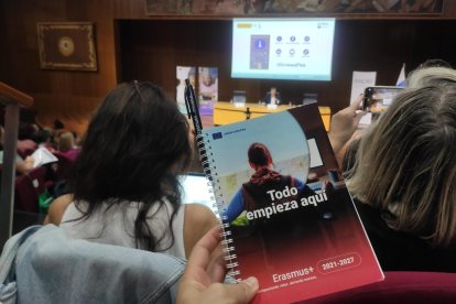 El IES Valle del Arlanza realizará un proceso de selección para el intercambio de alumnos con Alemania e Italia.