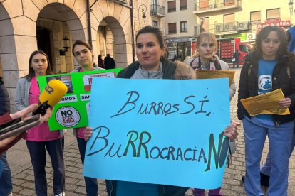 Los veterinarios de Aranda exigen menos burocracia para atender mejor a las mascotas