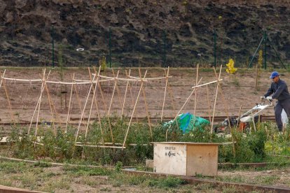 En la zona se han instalado hierbas aromáticas y un hotel de insectos para favorecer la llegada de polinizadores. SANTI OTERO