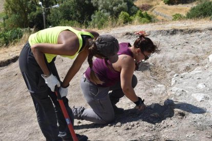 Varias estudiantes ayudaron en la labor