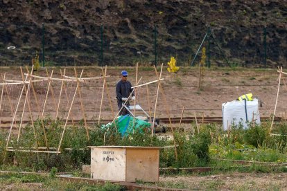 Los vecinos conviven en este espacio de 12.000 metros cuadrados con los operarios que preparan los bancales para 71 huertos de ocio que se adjudicarán en diciembre y cursos de formación en jardinería. SANTI OTERO