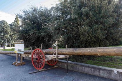El mástil está expuesto en el paseo de Atapuerca desde el 25 de septiembre. SANTI OTERO