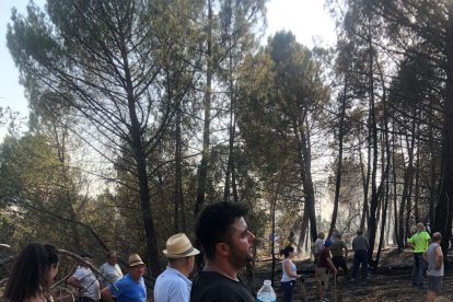 Zazuar agradece la solidaridad de todos los vecinos que fueron rápidamente a sofocar el incendio.