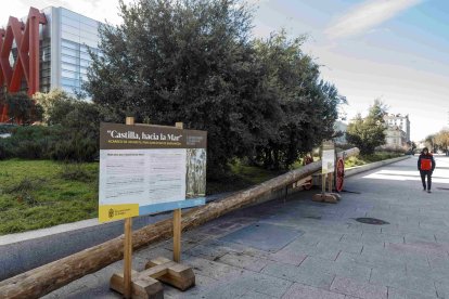 El mástil está expuesto en el paseo de Atapuerca desde el 25 de septiembre. SANTI OTERO