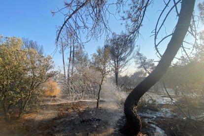 Los vecinos continúan hoy echando agua