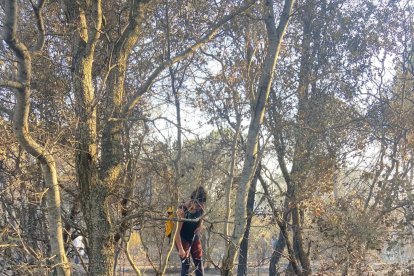 La comunidad de propietarios insiste en la importancia de ensanchar los caminos