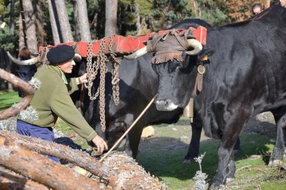La Cabaña de Carreteros es una de las entidades impulsoras de esta propuesta con la que conservar la vida del monte.