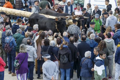 El mástil, que ayer llegó a Burgos, ha estado sumergido en agua y ha recibido un tratamiento para su conservación. SANTI OTERO