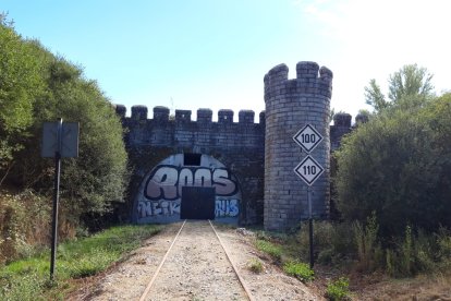 La empresa presentará sus conclusiones en cuatro meses