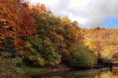 Paisajes de otoño en Urrez.