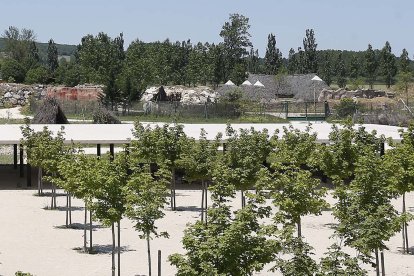 Vista de la parte exterior del carex