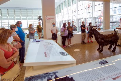 Imagen de una visita al Museo de la Evolución. RAÚL G. OCHOA