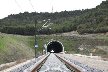 La línea, que incluye la variante ferroviaria de Burgos, incorpora doce viaductos, con una longitud total de 4,6 km, así como dos túneles, que suman 1,3 km, destacando el de El Almendro, con más de 800 m.
