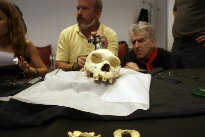 Análisis y estudio de las vértebras. En la imagen Ignacio Martínez Mendizabal y Juan Luis Arsuaga. El trabajo se ha desarrollado durante 20 años por dos razones. Primero porque aparecen muy fragmentadas y hay que casarlas hasta montar toda la pieza. Segundo porque han tenido que comprobar que se correspondía con el cráneo de Miguelón. JAVIER TRUEBA (MUSEO EVOLUCIÓN)