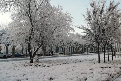 Burgos amanece helado. Tras las nevadas es el hielo el protagonista. S. L. C.