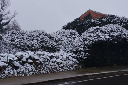 Caleruega cubierta con un manto blanco. L. V.