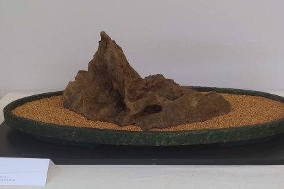 Exposición de Suiseki. Pieza El Valle de Nicolás Cristóbal.