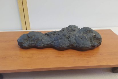 Exposición Suiseki en Burgos. Orilla del Lago Biwa de Jesús Kintas.
