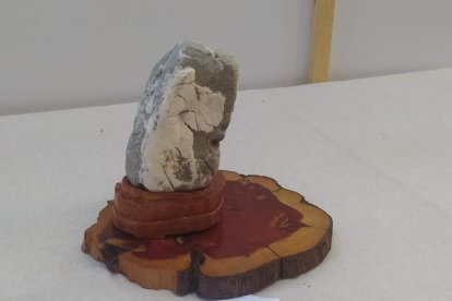 Exposición Suiseki. Pieza Perro Sentado de José María Sancho.