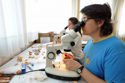 Dos investigadoras trabajan con fósiles obtenidos en esta campaña. / ISRAEL L. MURILLO