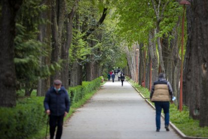 Imagen de árboles del paseo de la isla. ECB