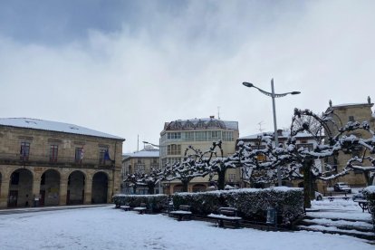 Nevadas