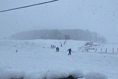 Nevadas