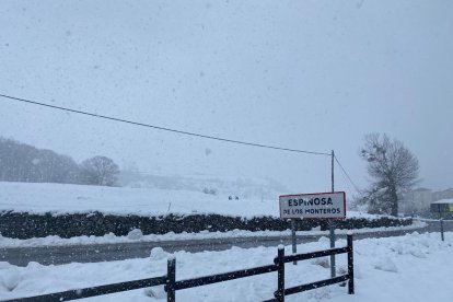 Nevadas
