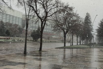 El paseo de Atapuerca bajo la nieve. J. G. L.