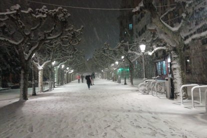 El paseo del Espolón de Burgos cubierto de nieve. S. L. C.