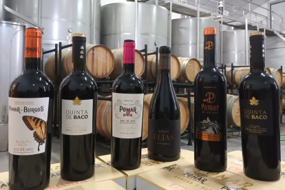 Vinos de Bodegas Pomar
