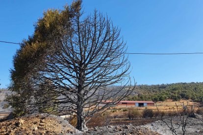 El panorama es desolador. FOTO: L.V.L