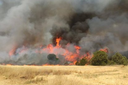 Cuarenta vecinos de Hacinas fueron alojados en Huerta de Rey. ECB