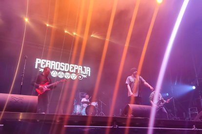 Perrosdepaja en directo. D. S. M.